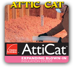 los-angeles-attic-cat-roofing-contractor