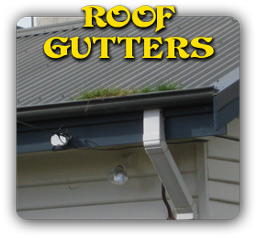 clean-gutters-roofing-contractor-gutter-washing-la